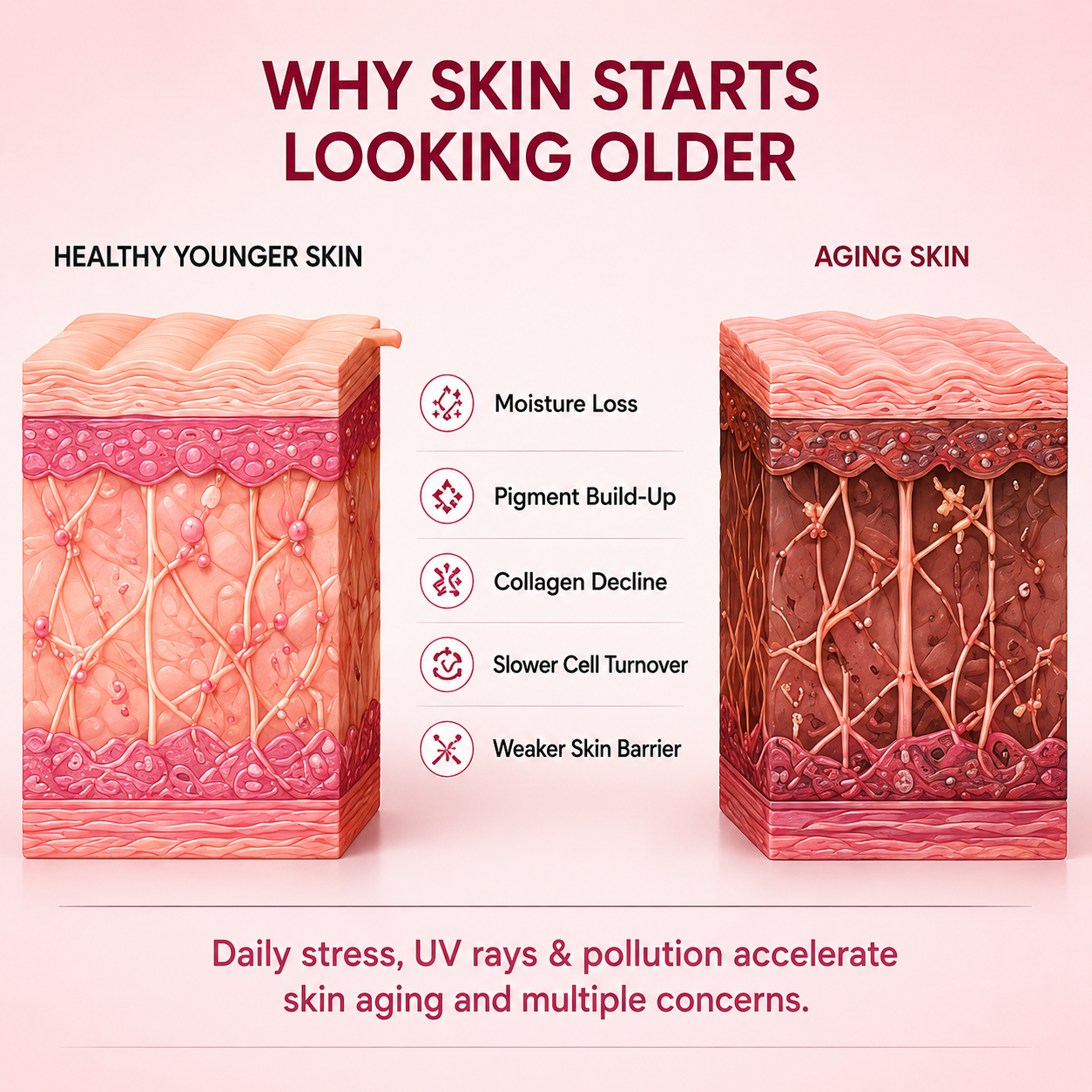 Viral Collagen Boost Bundle (5 pcs)